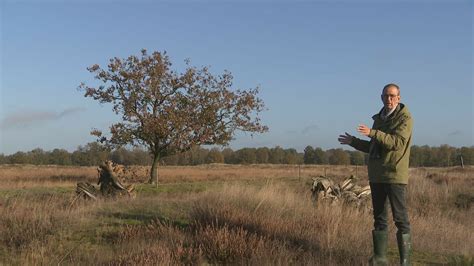 hans dekkers panerai|Ecoloog en plantenexpert Hans Dekker gaat met pensioen: 'We .